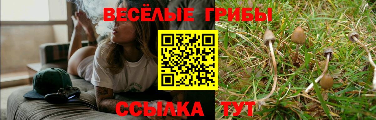 Псилоцибиновые грибы мицелий Кизляр
